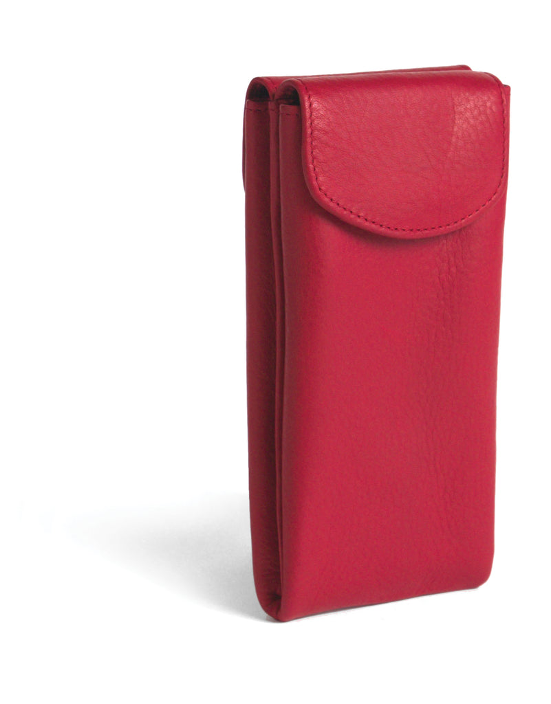 Double Eyeglass Case